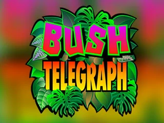 smg_bushtelegraph_icon_logo_600x600_en.webp