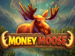 MoneyMoose.webp