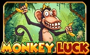Monkey-Luck.webp