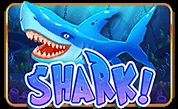 Shark!.webp