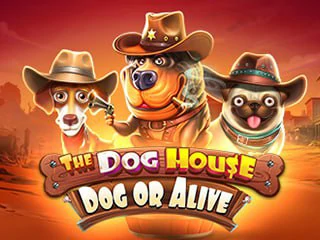 The Dog House - Dog Or Alive