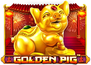 Golden Pig